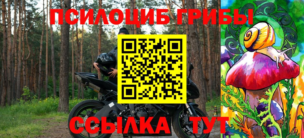 Псилоцибиновые грибы мухоморы Семёнов
